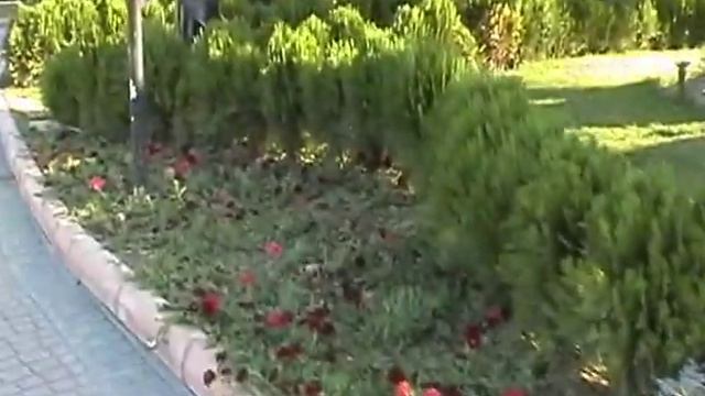 -14- Turkey, Kemer - Турция, прогулка по Кемеру