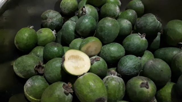 Плоды Фейхоа. смотреть онлайн