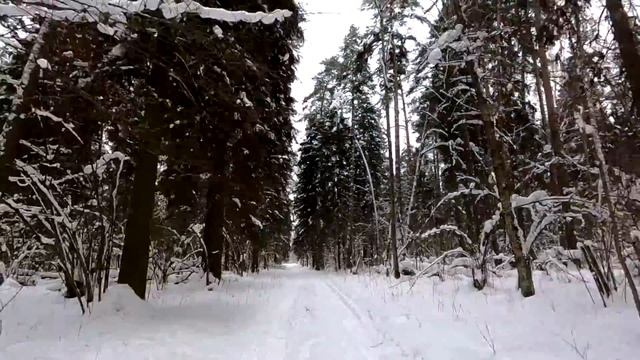 35) Веломаршруты Москвы и Подмосковья. м. Алтуфьево - Лосиный остров, оз. Торфянка смотреть онлайн
