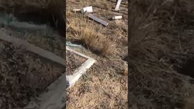 Посетительница бурятского кладбища призвала бурят начать ухаживать за могилами предков смотреть онлайн