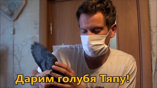 Дарим голубя Тяпу смотреть онлайн