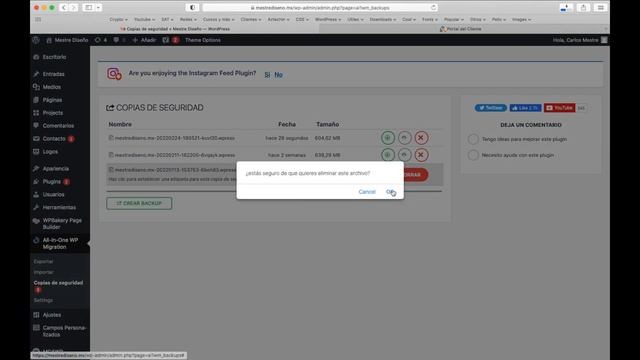 Como hacer respaldos (backup), restaurar o migrar tu web en Wordpress con All in One Wp Migration смотреть онлайн