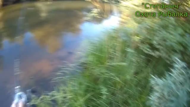 Открытие охоты и рыбалка 15 08 20 смотреть онлайн