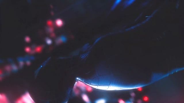 ＸＯ ＥＶＩＬ ＬＩＦ３ ?️ смотреть онлайн