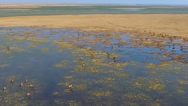 Blue Lagoon National Park смотреть онлайн