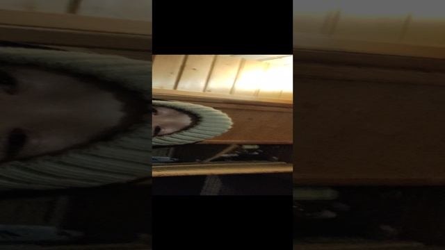 Рубрика вопросы