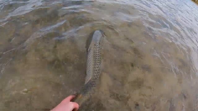 I Kayaked to a REMOTE Location in search of GIANTS! | Carp Fishing смотреть онлайн