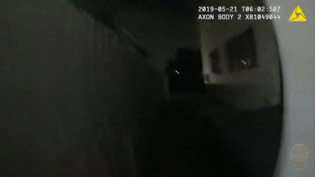 Southeast Area Officer Involved Shooting 5/20/19 (NRF020-19) смотреть онлайн