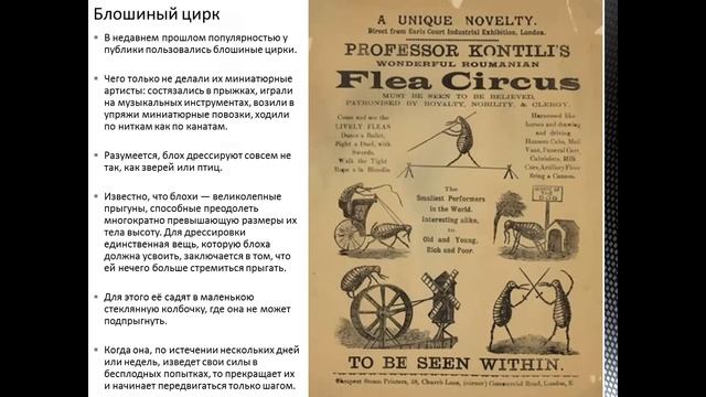 Восток, 16.06.2023 - Удивляемся с Григорием смотреть онлайн