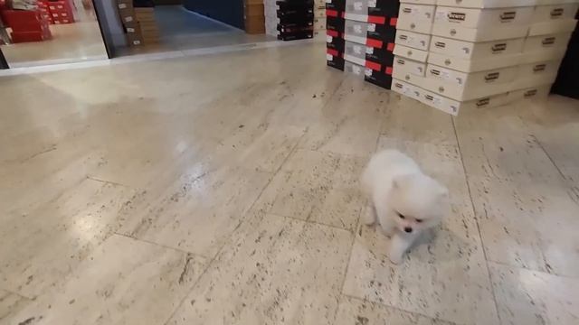 Турция 2022.  Кожаная обувь и сумки (женская и мужская)  в Анталии. Шопинг в  Анталии 2022. Турция