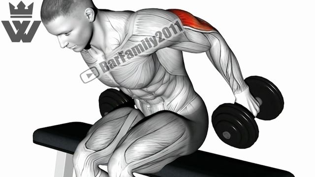 How To Build Big Biceps and Triceps Fast 8 Exercises смотреть онлайн