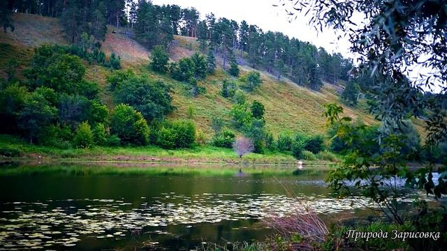 Органы духовного познания. Центр Хара. Вы Боги. Омраам Микаэль Айванхов смотреть онлайн