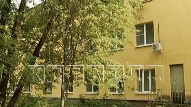 Не только с ковидом, но и с тараканами приходится бороться пациентам 10-й больницы смотреть онлайн