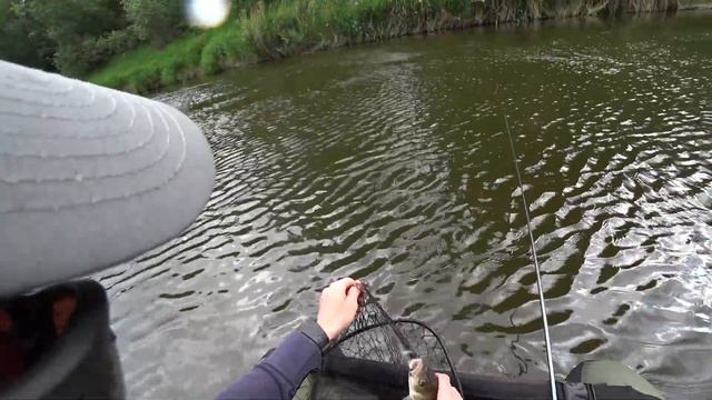 Буйные голавли лета 2019 . Дикие смотреть онлайн