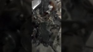 Обрыв ремня грм, загиб клапанов 4G63