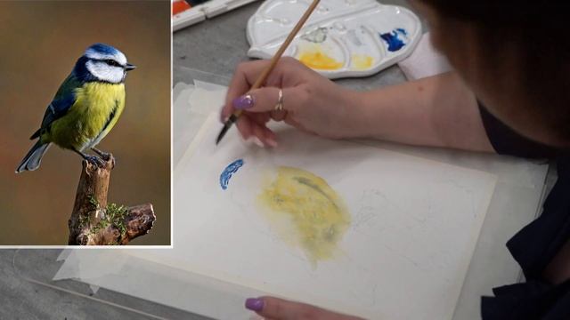 Птица акварелью. Рисуем синичку. МК акварель. смотреть онлайн
