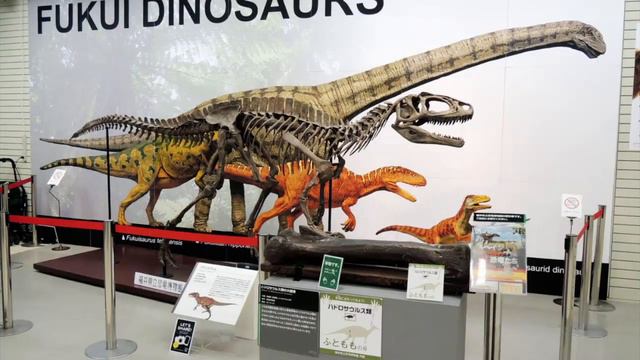 Азбука динозавров - "Ф" смотреть онлайн