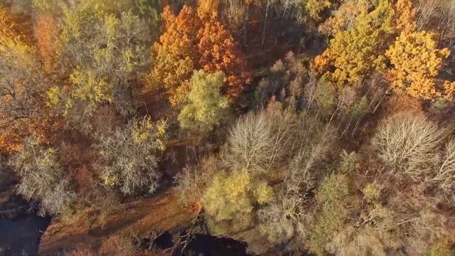 Усадьба дворянского рода Львовых «Гора» смотреть онлайн