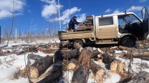Заготовка дров в СИБИРИ!!! Работаю один целый день в лесу.
