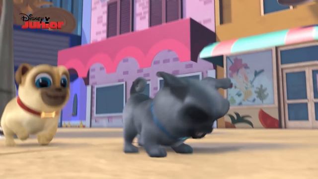 Bingo y Rolly: Disney Junior Music Party - Compilado musical | Disney Junior Oficial смотреть онлайн