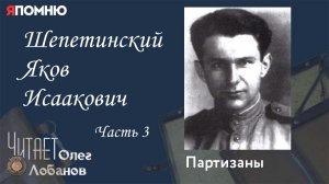 Шепетинский Яков Исаакович. Часть 3. Проект "Я помню" Артема Драбкина.  Партизаны