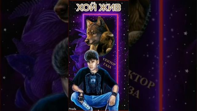 СЕКТОР ГАЗА КАЗАЧОК