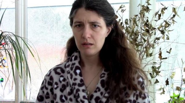 Shakespeare's Sonnet 144: 1/2017