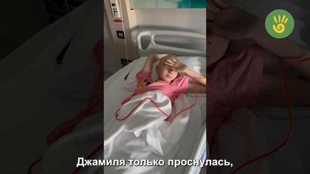 Каждый день Джамили Хасеновой проходит на грани. Помогите! смотреть онлайн
