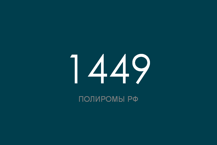 ПОЛИРОМ номер 1449 смотреть онлайн