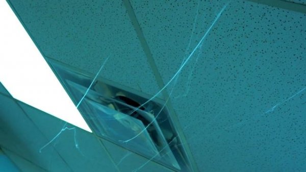 Cobweb-Shooters (Evaporation Web-Fluid)