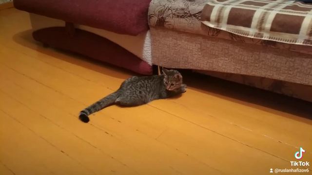 мы играем в кошки мышки смотреть онлайн