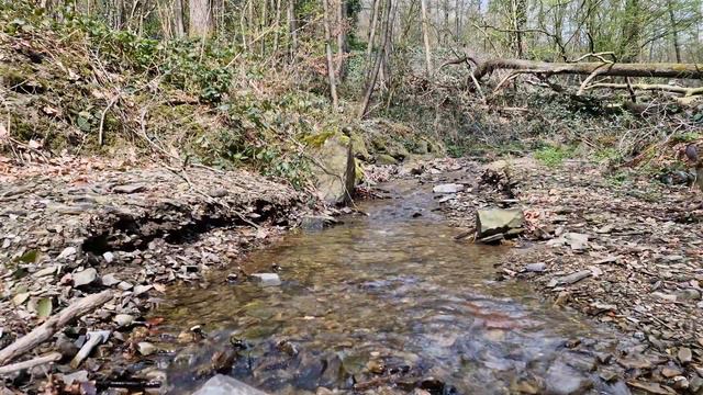 Звук ручья, звуки природы чтобы расслабиться. Приятное журчание ручья для нервов, отдыха и сна. смотреть онлайн