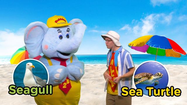Learn about Animals at the Beach | What's That Sound? | Educational Videos for Kids смотреть онлайн