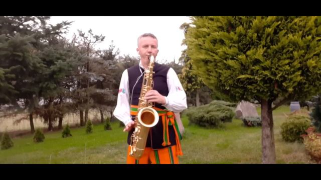 Akordeonowe melodie biesiadne - najpiękniejsze walczyki weselne смотреть онлайн