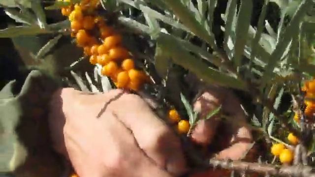 СтройКамера