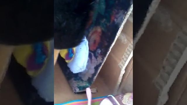 Обзор на кукольный домик мх смотреть онлайн