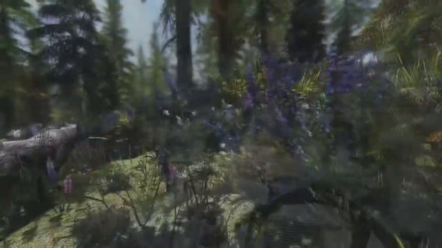 The True Purpose of Skyrim