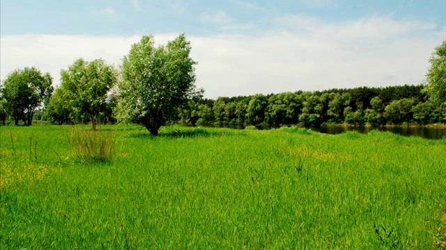 Чистоговорки про лето для детей смотреть онлайн