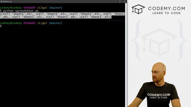 Using Excel Spreadsheets With Tkinter and Openpyxl - Python Tkinter GUI Tutorial #114 смотреть онлайн