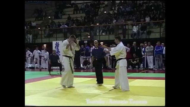 LUCIAN GOGONEL HIGHLIGHTS KYOKUSHIN смотреть онлайн