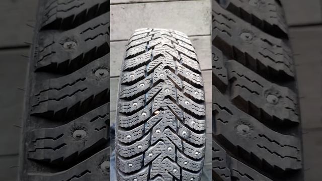 Hakkapeliitta 8 отзыв после 1000км