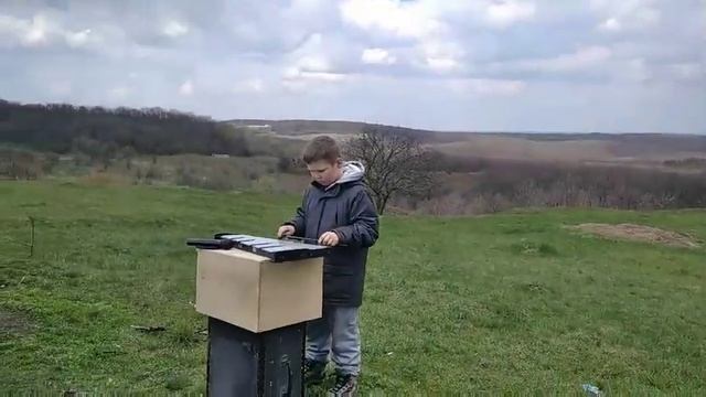 Вальс тюльпанов смотреть онлайн