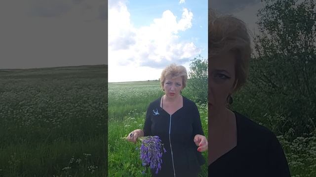 Какое расстояние должно быть между домами соседей? Ответ здесь! смотреть онлайн