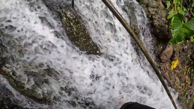 10 days in Java, Indonesia (part 1) | Bea Square смотреть онлайн