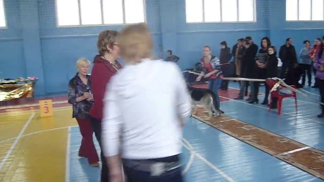 Сравнение ЛПП ВЕО смотреть онлайн