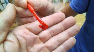 Как удалить клеща с кота при помощи специального выкручивателя