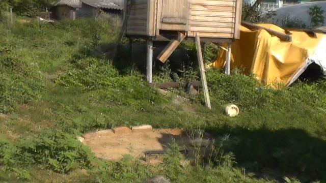 ТАКЛА БАКИНЦЫ УЗБЕКСКИЕ БОЙНЫЕ ГОЛУБИ смотреть онлайн