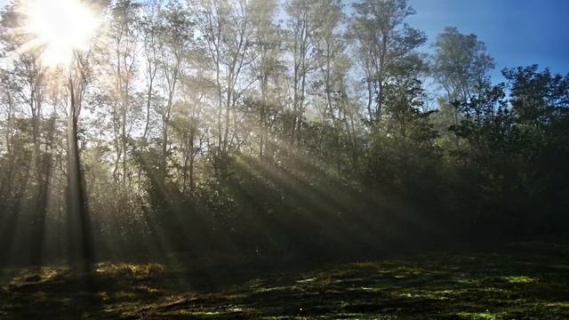 Приехав устраиваться на работу в богатый дом, мужчина замер, увидев жену, умершую пару месяцев наза смотреть онлайн