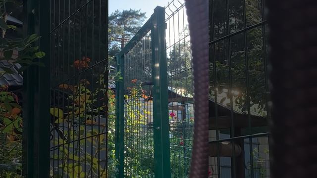 ОНИ ПРИХОДЯТ ВО СПАСЕНИЕ… смотреть онлайн