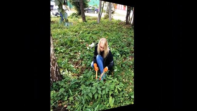 Субботники МБОУ СОШ №4 г. Скопина смотреть онлайн